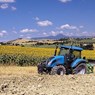 Il Comune di Citerna approva il regolamento sull'uso dei fitosanitari
